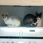 Donna Maly - @donnam.wi1 - Instagram