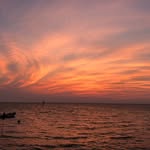 Donna Mance - @lantana55 - Instagram