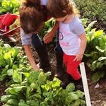Donna Mancuso - @dddman1958 - Instagram
