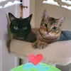 Donna Rae Mancuso - @donna.rae.mancuso - TikTok