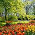 Donna Mandel - Facebook