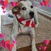 Donna Mandel - Facebook