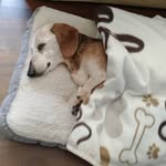 Donna Mandell - @mandell_donna - Instagram