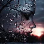 Donna Mannarelli - @mannarellidonna - Instagram