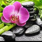 Rosy Mannino - @sculpture.donna.rosy_mannino - Instagram