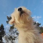@donna_mansilla - Instagram