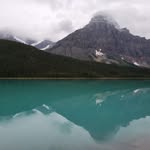 Donna Manzer - @donna.manzer - Instagram