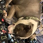 Donna Marcello - @donna.marcello.3538 - Instagram