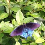 Donna Marcello - @donna.marcello.77 - Instagram