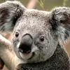 Donnabel Marcelo - @donnabel.marcelo - TikTok