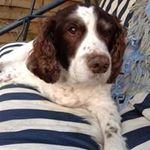 Donna March - @paul.hatherley - Instagram