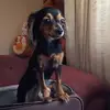 donnamargo - @donnamargo - TikTok