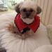 Donna Margiotta - Facebook