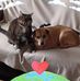 Donna Marie - Facebook