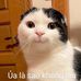 Donna Maris - Facebook