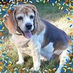 Donna Marker - @dmharth - Instagram