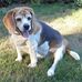 Donna Marker - Facebook
