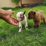 Donna Markham - @suvchickadee - Instagram