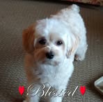 Donna Markley - Facebook