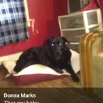 Donna Marks - Facebook