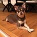 Donna Markward - Facebook