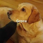 Donna Marlow - @donnamarlow2021 - Instagram