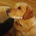 Donna Marlow - Facebook
