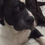 Donna Marlow - @dmarlow_59 - Instagram