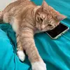 Weezie - @donnamarrow - TikTok