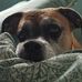 Donna Marron McAtee - Facebook