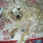 Donatella Martellani - @donnamars62 - Instagram