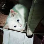 Donna mars - @mars_sony - Instagram