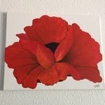 Donna Martel - @marteldgay - Instagram