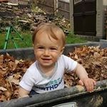 Donna Martz Davis - @dmartzdavis - Instagram