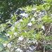 Donna Marzan - Facebook