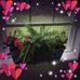 Donna Masher - Facebook
