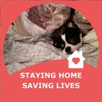 Donna Masker - Facebook