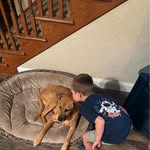 Donna Masterson Andrews - @donna.m.andrews.3 - Instagram