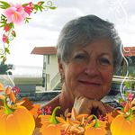 Donna Matchett - @matchettdonna - Instagram