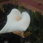 Donna Mateer - @donna.mateer.98 - Instagram