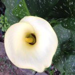 Donna Matheny - @dooger610 - Instagram