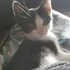 Donna Mather - @user442298576 - TikTok