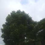 Dona Mathew - Facebook
