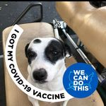 Donna Matlack - @donna.matlack1 - Instagram