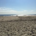 Donna Matoskey - @donnamatoskey - Instagram