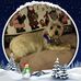 Donna Messinger - Facebook
