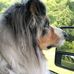 Donna Sommer Matt - Facebook