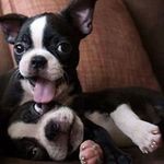 Donna J Matter - @donnamatter - Instagram