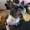 Donna Matteson - @donna.matteson5 - TikTok