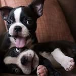 Donna J Matter - @donnamatter - Instagram